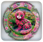 T07H26-17a THIBAUT-HERAULT Ludovic