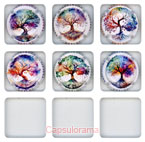 V04D33-09 VARLOT Christophe