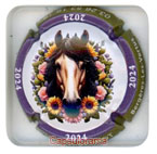 V15C1-31zf VIGIER-PERROT