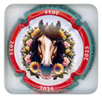 V15C1-31zh VIGIER-PERROT