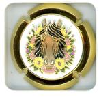 V15C1-31zj VIGIER-PERROT