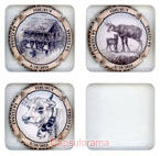 B55E6-164 BREUL Patrick