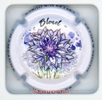 D17G5-45' DEHEURLES Daniel