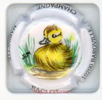 R01H1-67d RACLOT Marinette