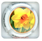 D25H5-121 DE MILLY Albert