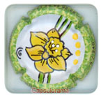 C10H15-38a CHAMPION-OUY