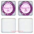 T06A26-03b TERRIEN J.F.