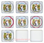 T06A29-11 TERRIEN J.F.