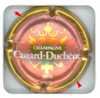 C05B2-52. CANARD DUCHENE