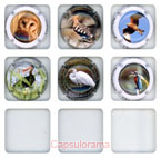 S03F1-16 SAMPERS Claude