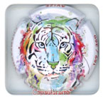 D44G16-37a DUMEZ Daniel