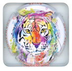 D44G16-37b DUMEZ Daniel