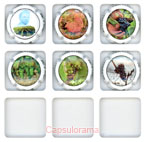 D41H1-06 DROUILLY Pierre et Fils