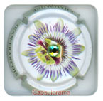 T06A29-15f TERRIEN J.F.