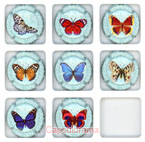 D43C1-23 DUGNE Charles