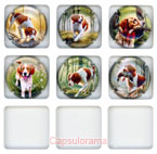 D44G16-39 DUMEZ Daniel