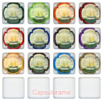 A06E2-19 ANSEL LEMAIRE